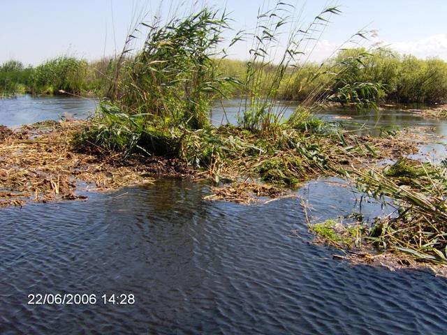 delta rosu 2006 - im000228.JPG